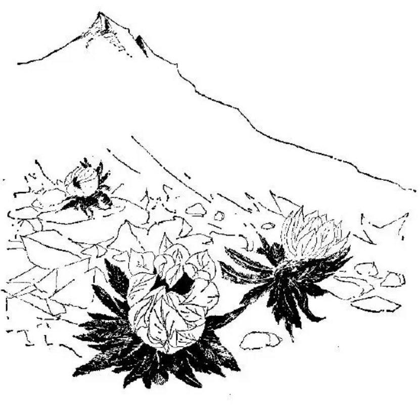 盤點(diǎn)各類地質(zhì)地貌類型-地?zé)豳Y源開(kāi)發(fā)-地大熱能